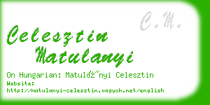 celesztin matulanyi business card